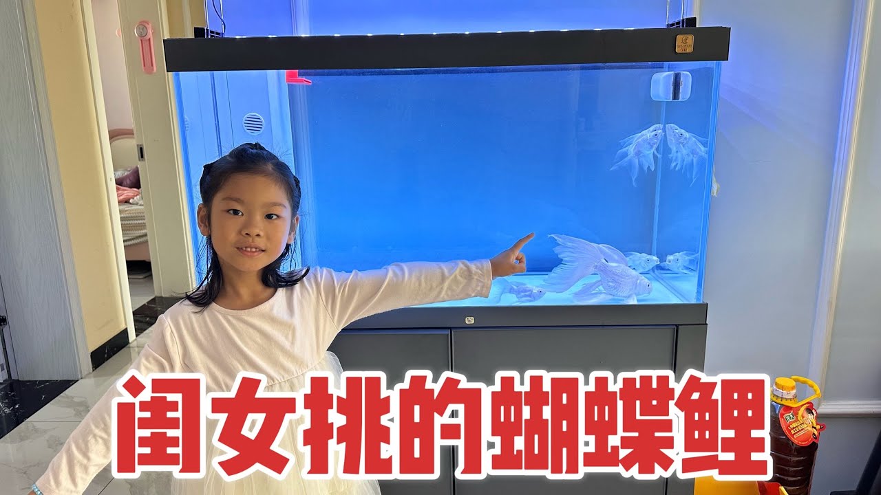 爷俩去逛水族店，闺女相中一条好几万的鱼，老公直说干脆把他卖了#日常生活#广东姑娘在北方#夫妻搞笑