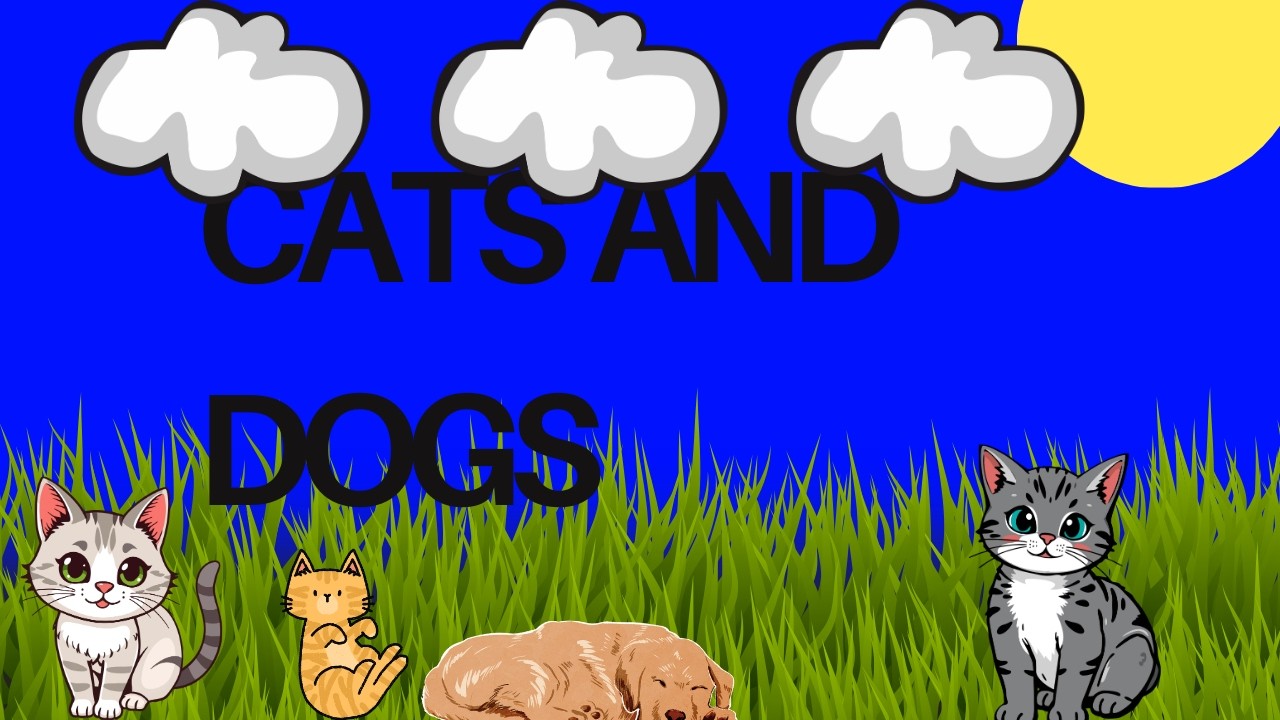 Werts friend #games #tutorial #gaming #funny #scratch #cool #programming #funny #scratch #games #yes