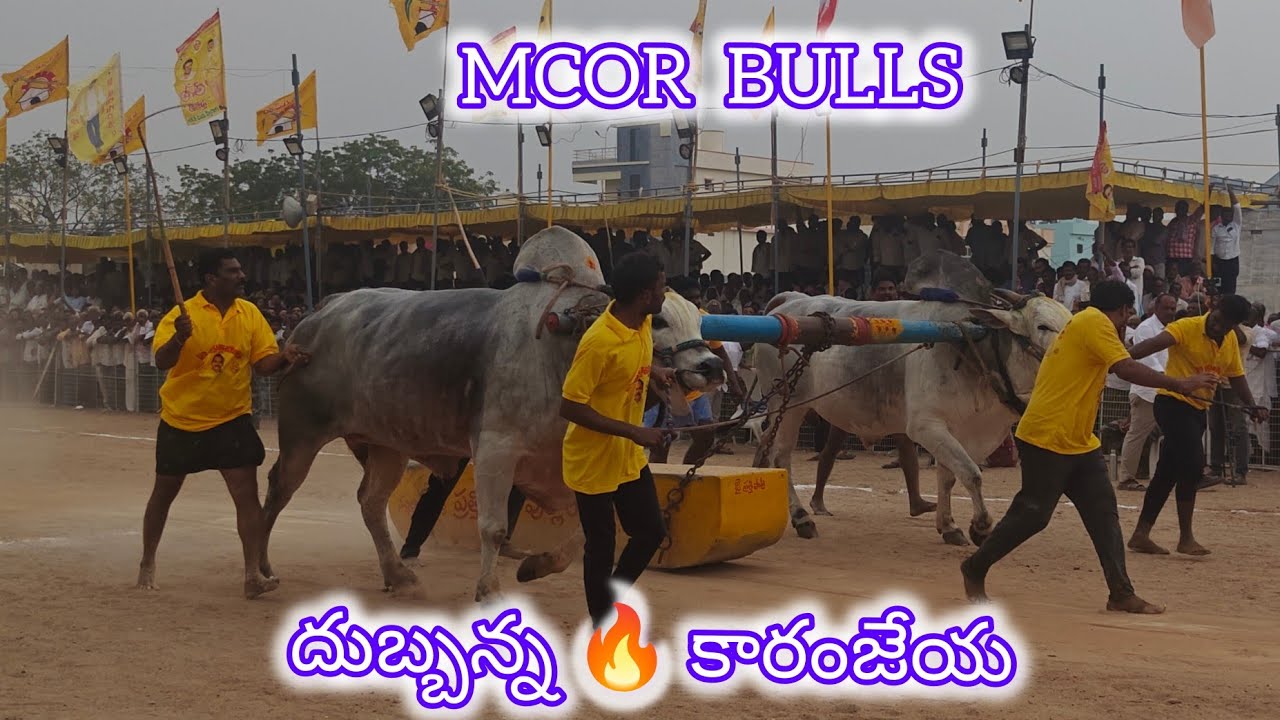 చిలకలూరిపేట సీనియర్స్ 8వ