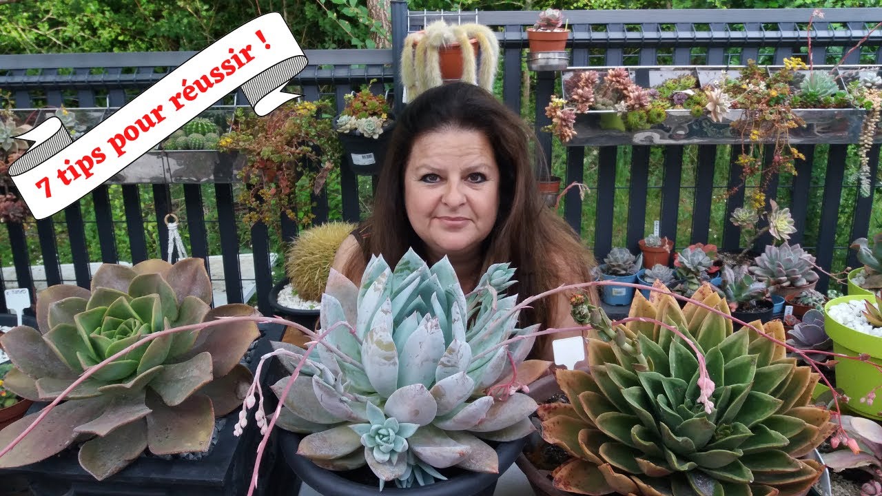R&eacute;ussir avec les succulentes