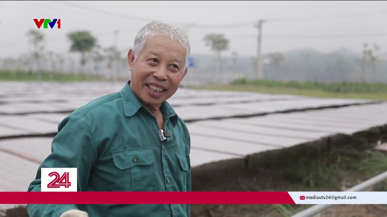 Các làng miến truyền thống vào vụ Tết | VTV24