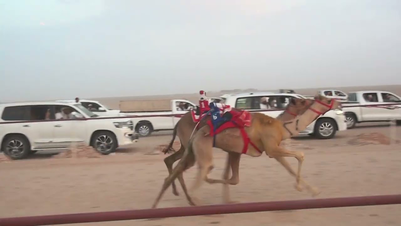 مبهر ل مبارك بن محمد الحرسوسي