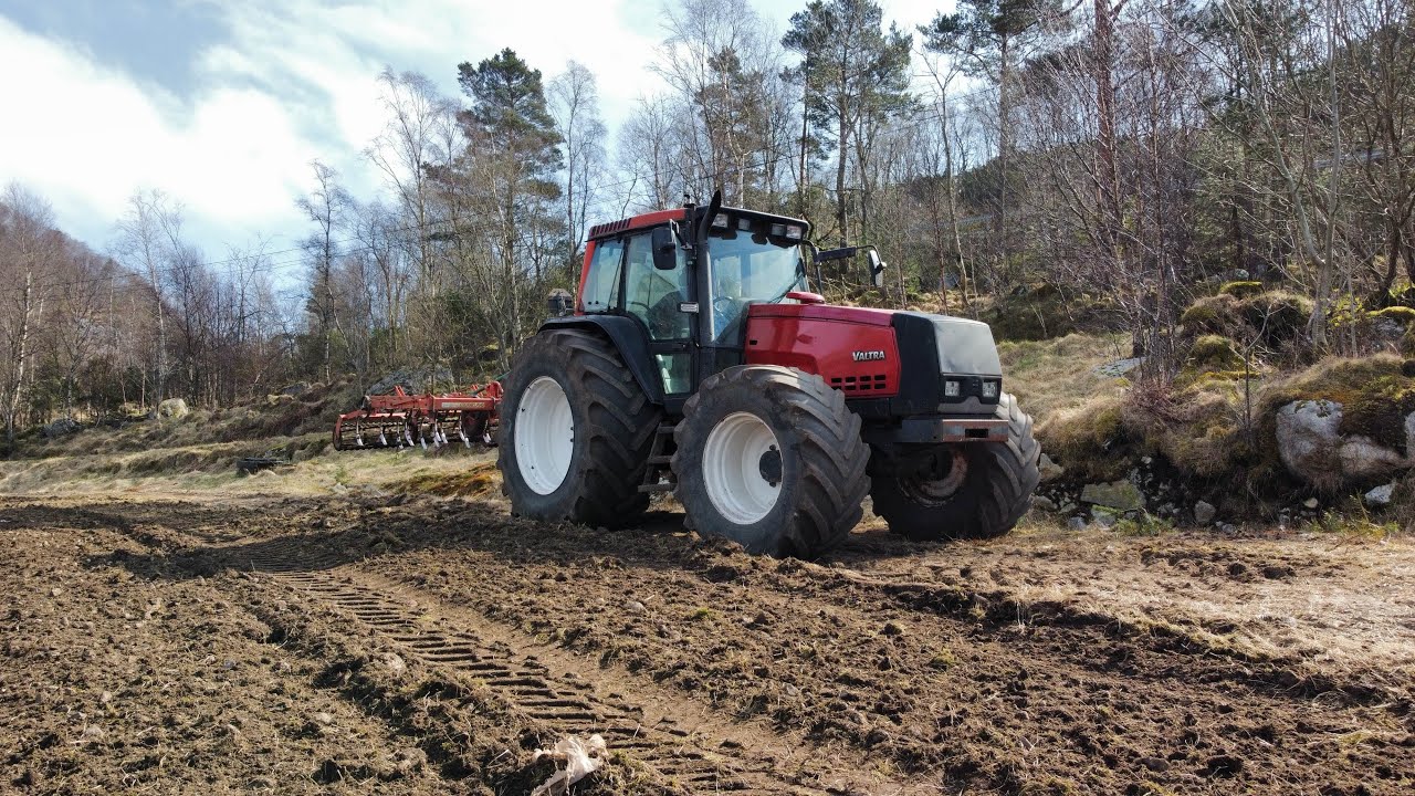 Steinhenting og hårving