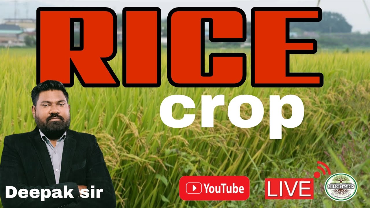 Agri roots academy is live!