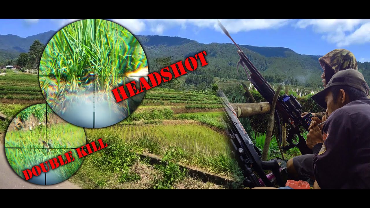 Duet Zachvan VS Sharp Tiger Pomping