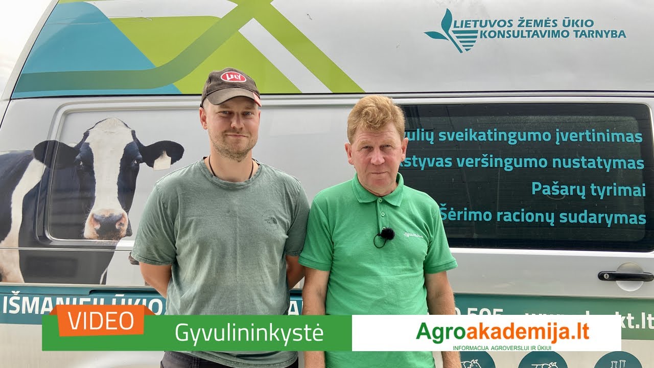 Mikroklimatas ir karvių laikymo sąlygos Krūvelių šeimos pieno ūkyje