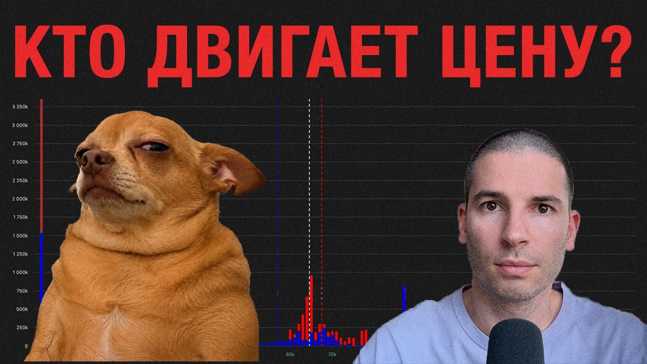 Может ли Биткоин упасть еще ниже? Распределение монет по стоимости