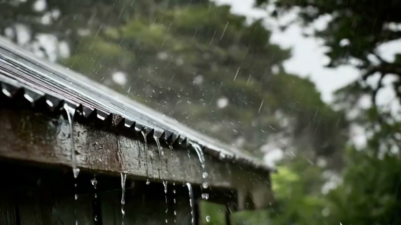 Amazing Rain on Roof Sounds for Sleeping - Rain Sound #restful #rainsound