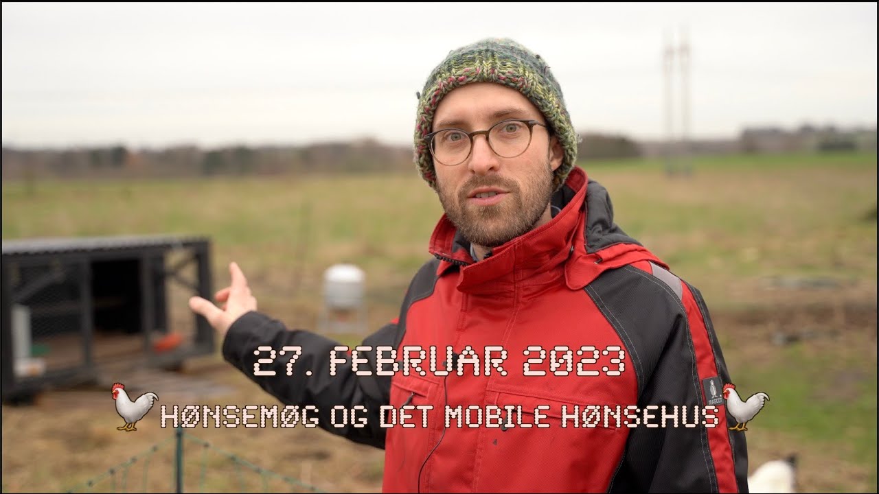 Hønsemøg og det mobile hønsehus - 27. februar 2023 - 4K
