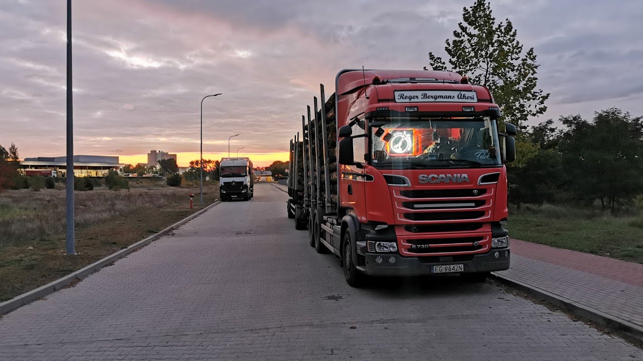 Leśna przygoda#253 Achtung schranke | ROSSI | naklejki