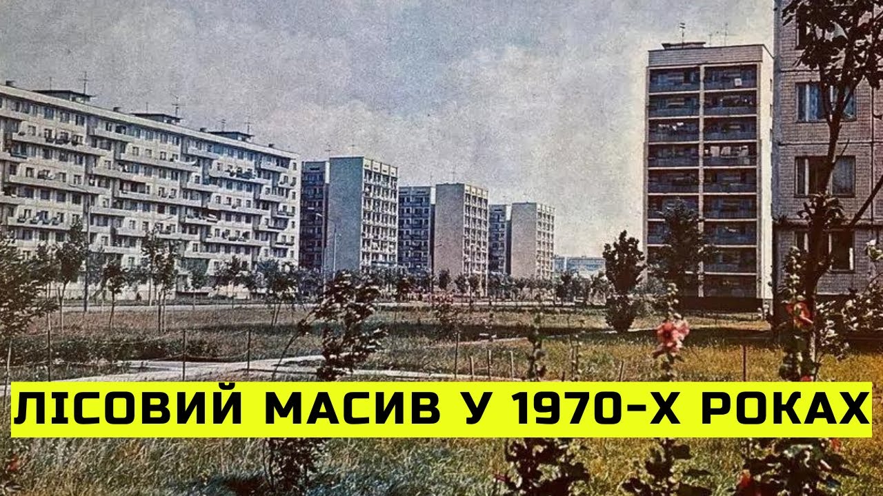 Лісовий масив у 1970-х роках