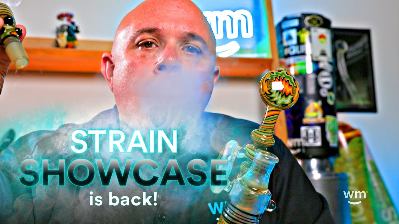 Weedmaps Strain Showcase and Gil are back! (+ Bonus strain review)