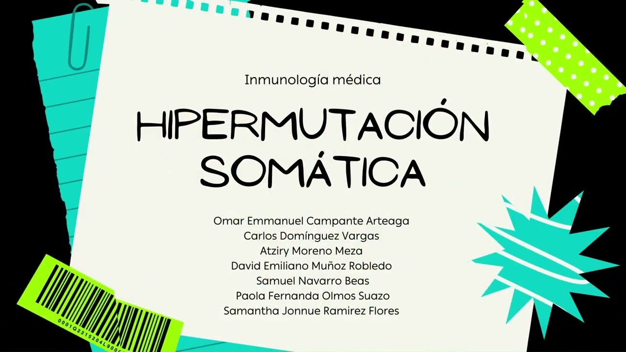 Hipermutaci&oacute;n som&aacute;tica
