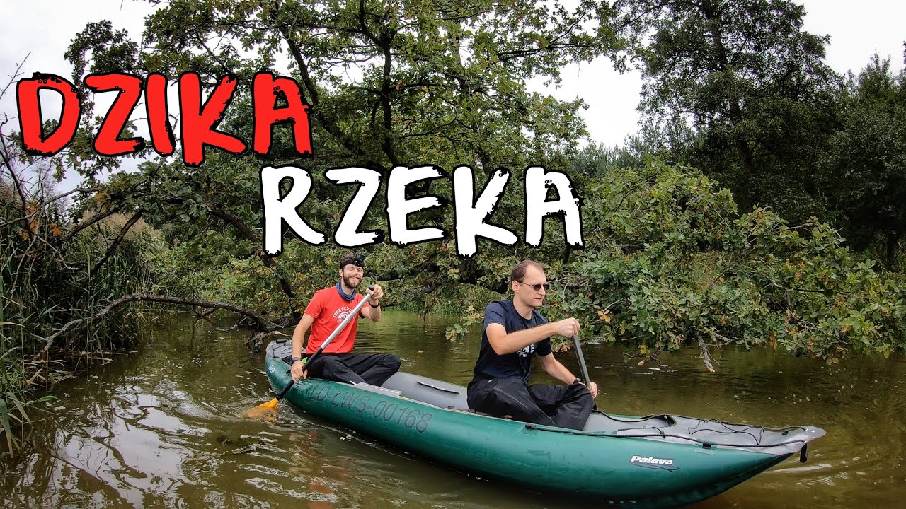 #81 Spływ Dziką Baryczą