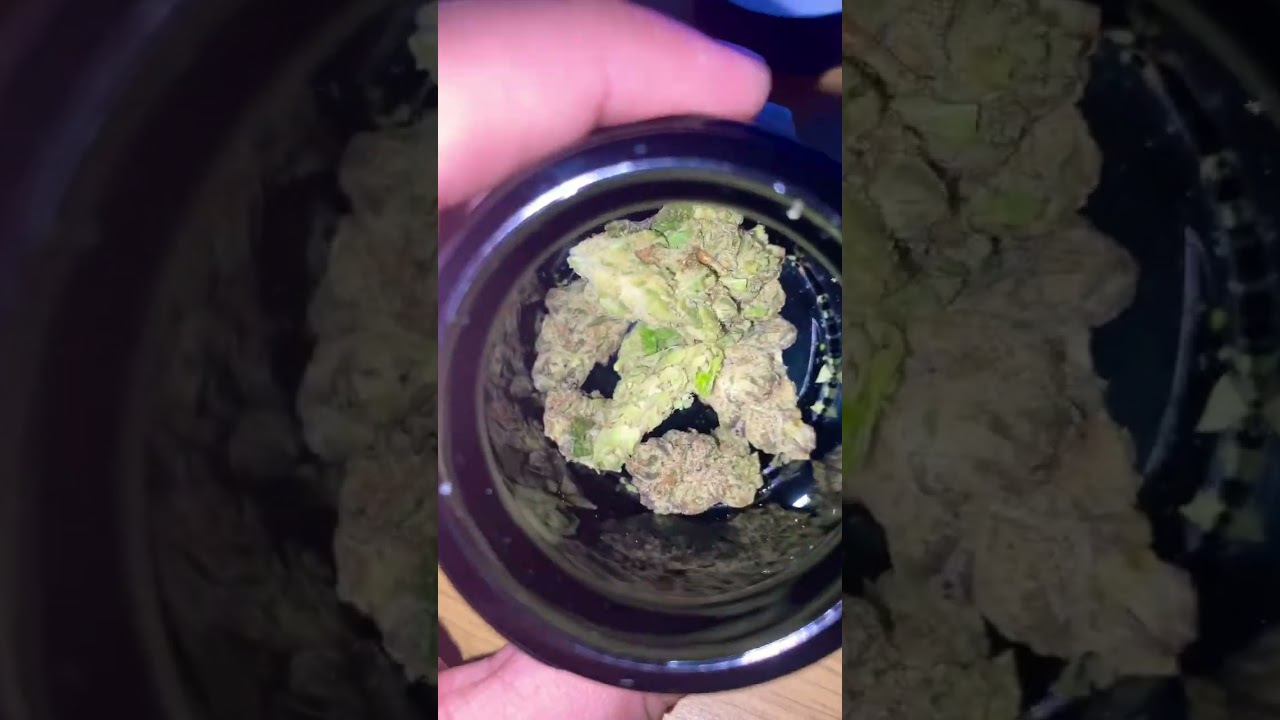 Lemon tree punch from house of kush #420 #missouri  medicine