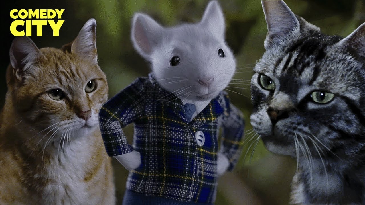 Stuart Gets Attacked by a Gang of Cats | Stuart Little (Michael J. Fox, Chazz Palminteri)