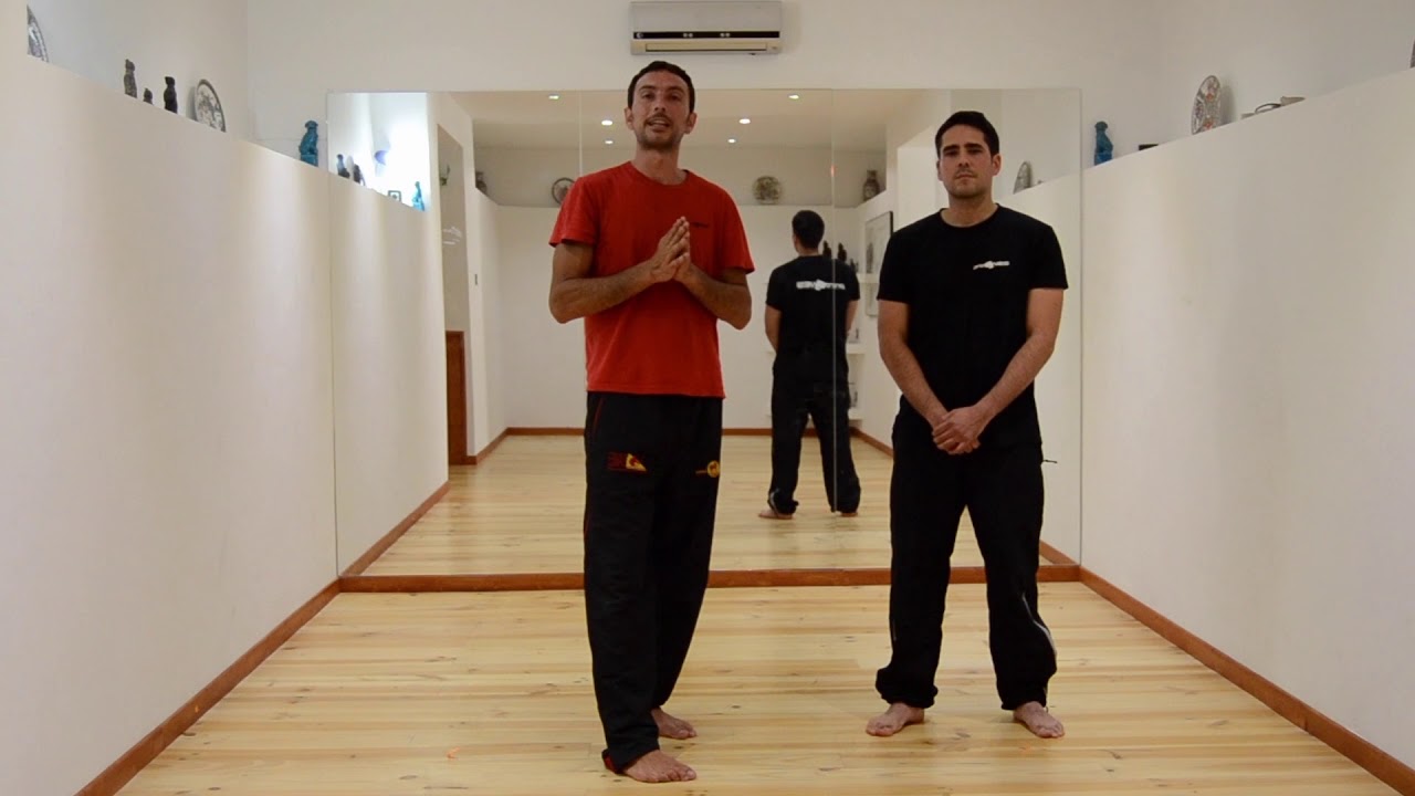 Vectorial description for Wing Chun reactions - Punch distance
