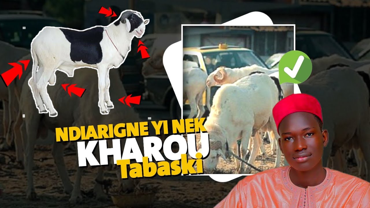 NDIARIGNE YI NEK CI 