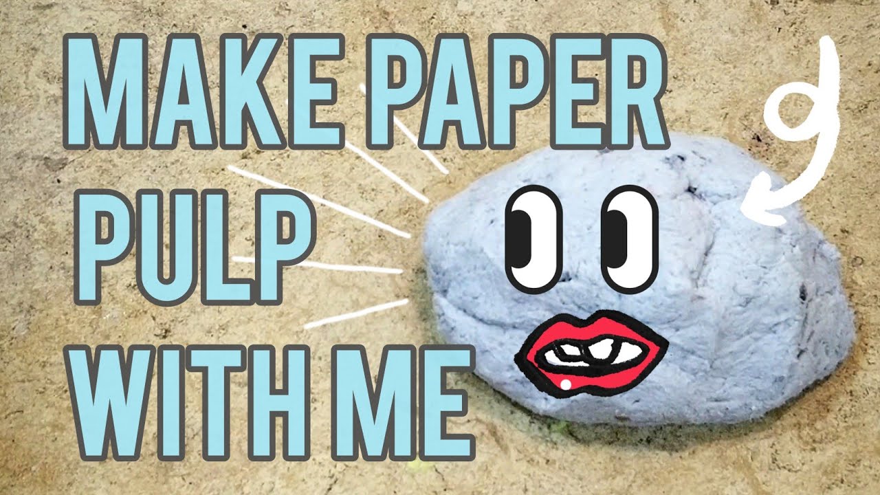 Make Paper Pulp with Me!