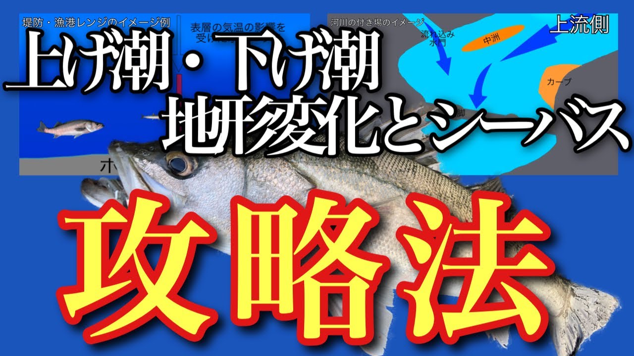 シーバスの上げ潮下げ潮の釣り方地形変化と釣りのタイミング「上げ潮編」
