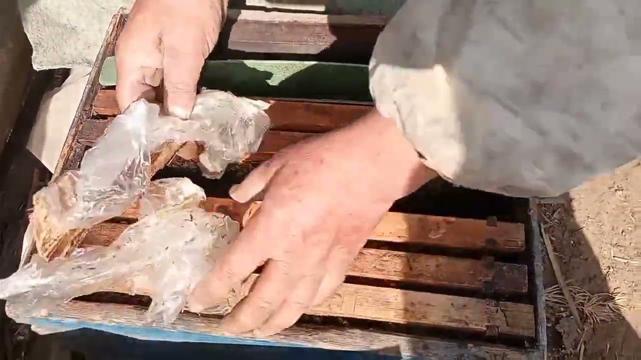 تغذية النحل بالنيزوفيت وخل العسل و ملح الطعام