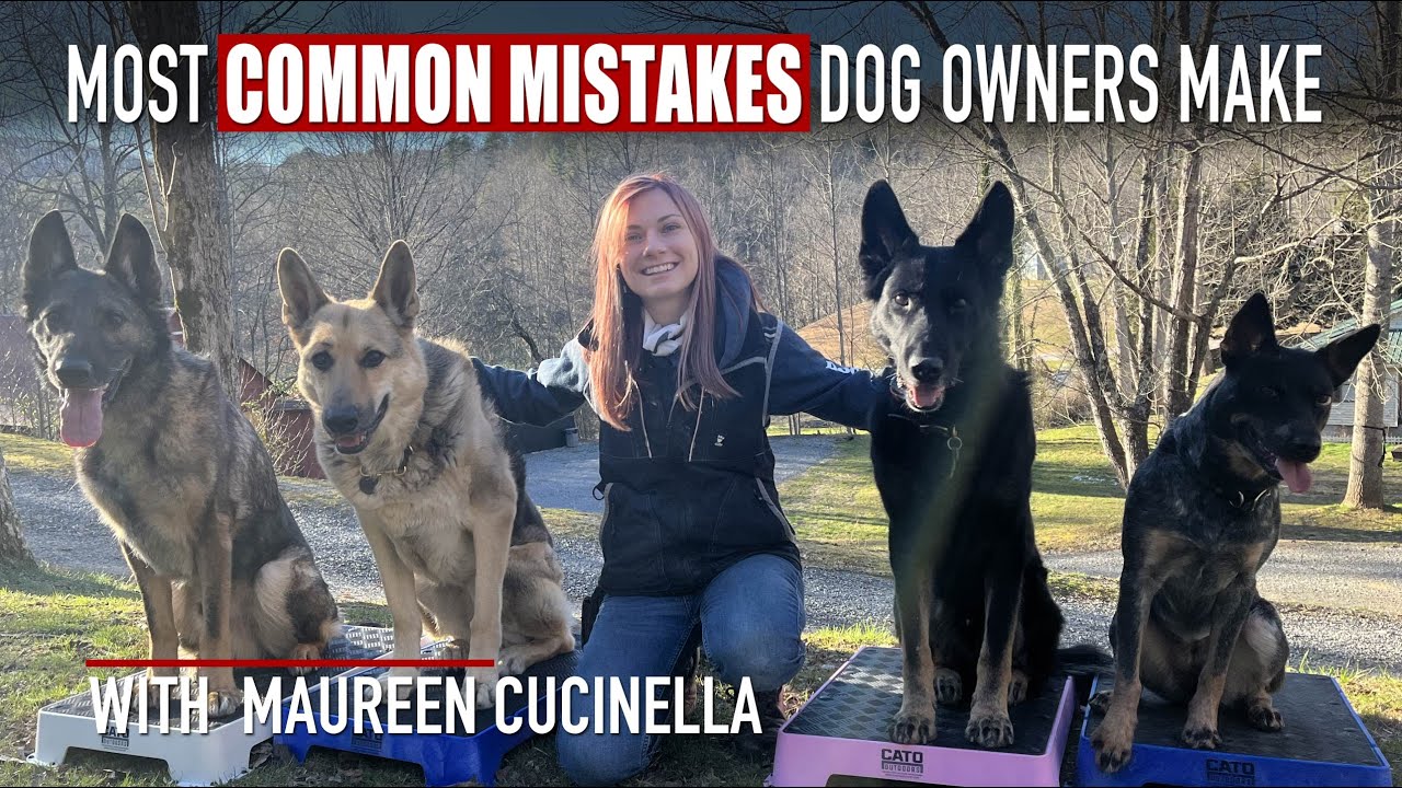 Avoid These Common Mistakes and Raise the Perfect Dog with Maureen Cucinella | Episode 13