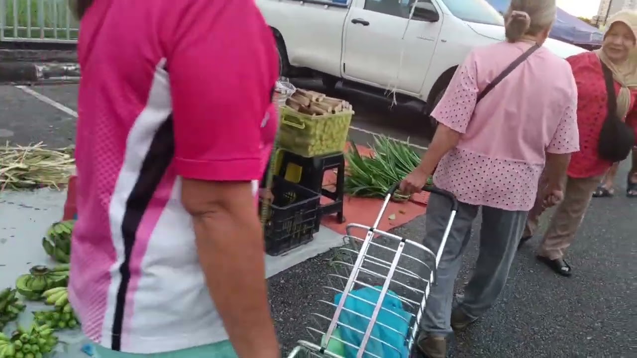 Jalan - Jalan Cari Sayur 