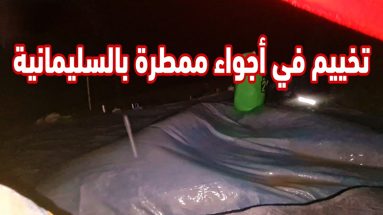 من سرتك إلى بنجوين وتخييم في أجواء ممطرة في كولي