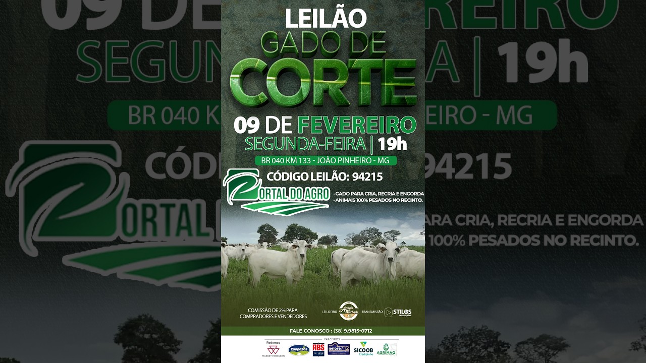 LEILÃO GADO DE CORTE  - PORTAL DO AGRO