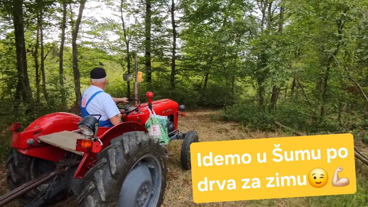IMT533 idemo po drva u šumu 1dio