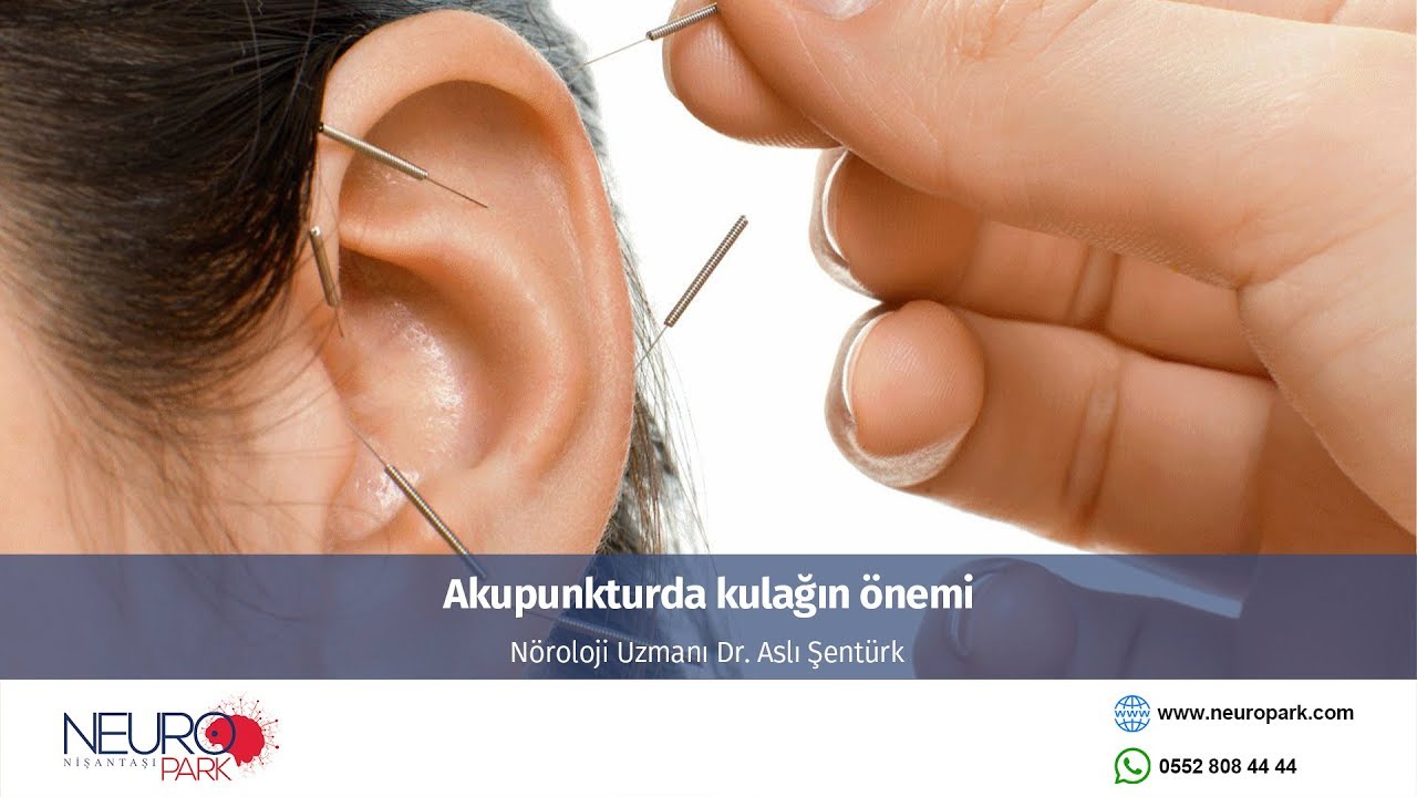 Akupunkturda kulağın önemi - Neuropark Nöroloji