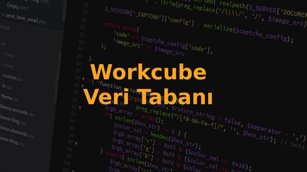 Workcube Veri Tabanı - Temel / 2