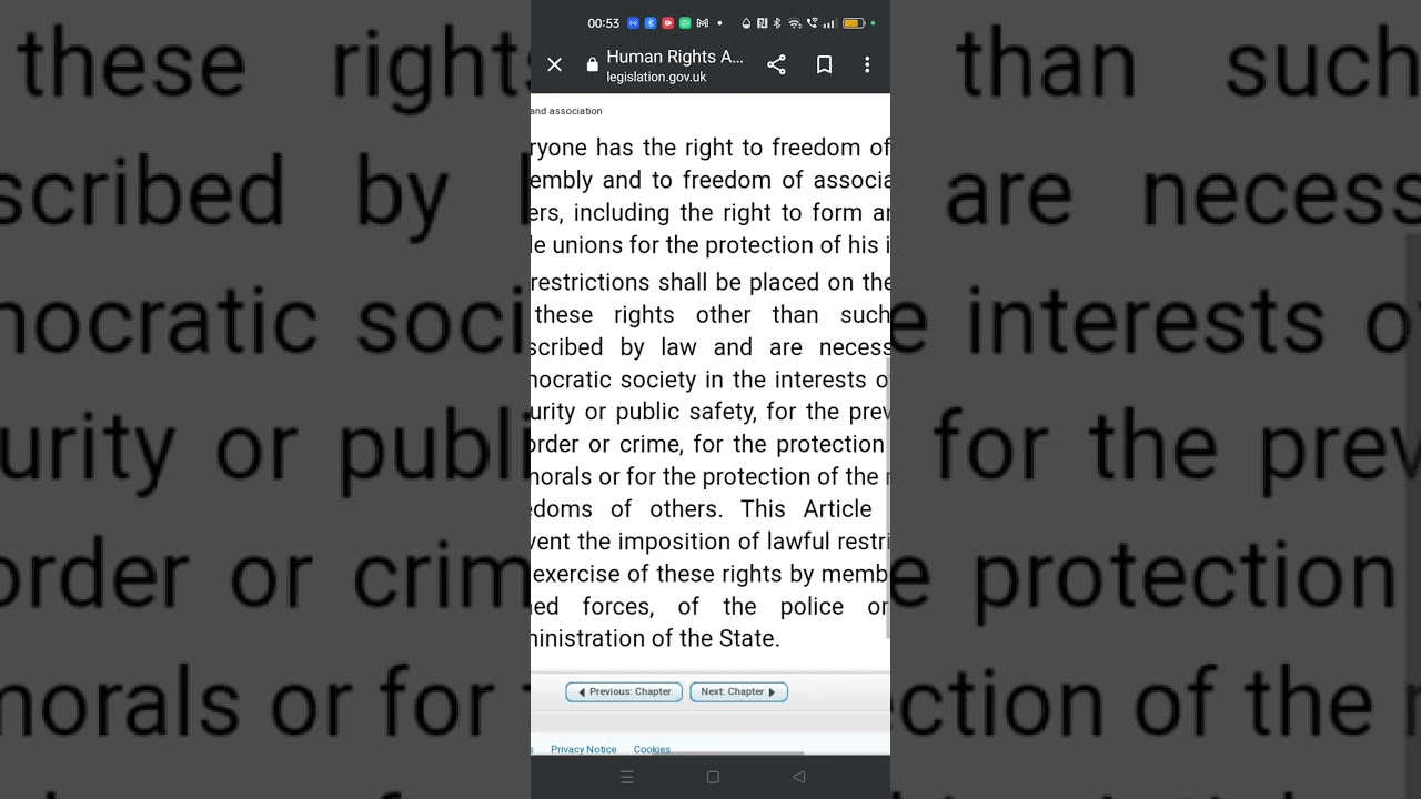 Human Rights act Articles 10 +11 🤨