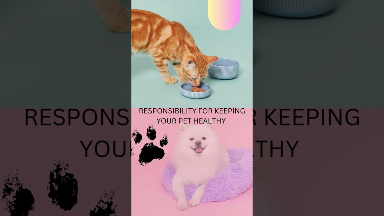 ISLAMABAD PETS  daycare now open for all kinds of animals with special treatment  and love .