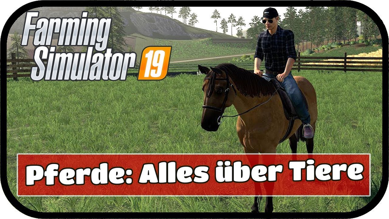 LS19 TIERE - Alles zu den Tieren und deren Versorgung - Neues Tier Pferd!