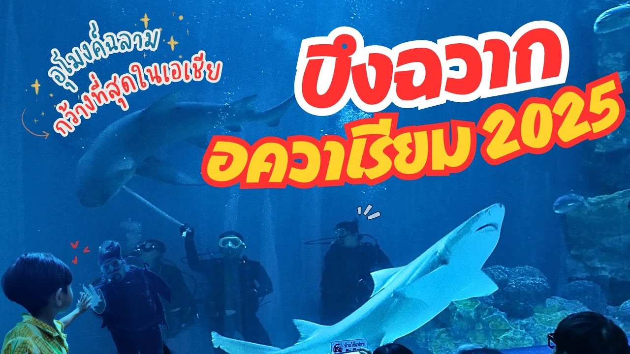 บึงฉวากอควาเรียม 2025🦈พาชมอุโมงค์ปลาฉลามกว้างที่สุดในเอเชีย | เที่ยวสุพรรณบุรี Ep.2