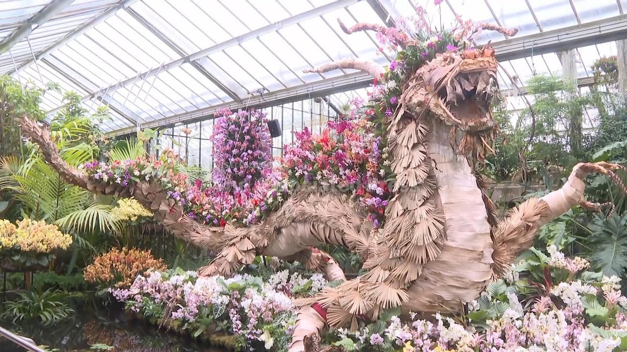 Orchid festival celebrates China's heritage and biodiversity
