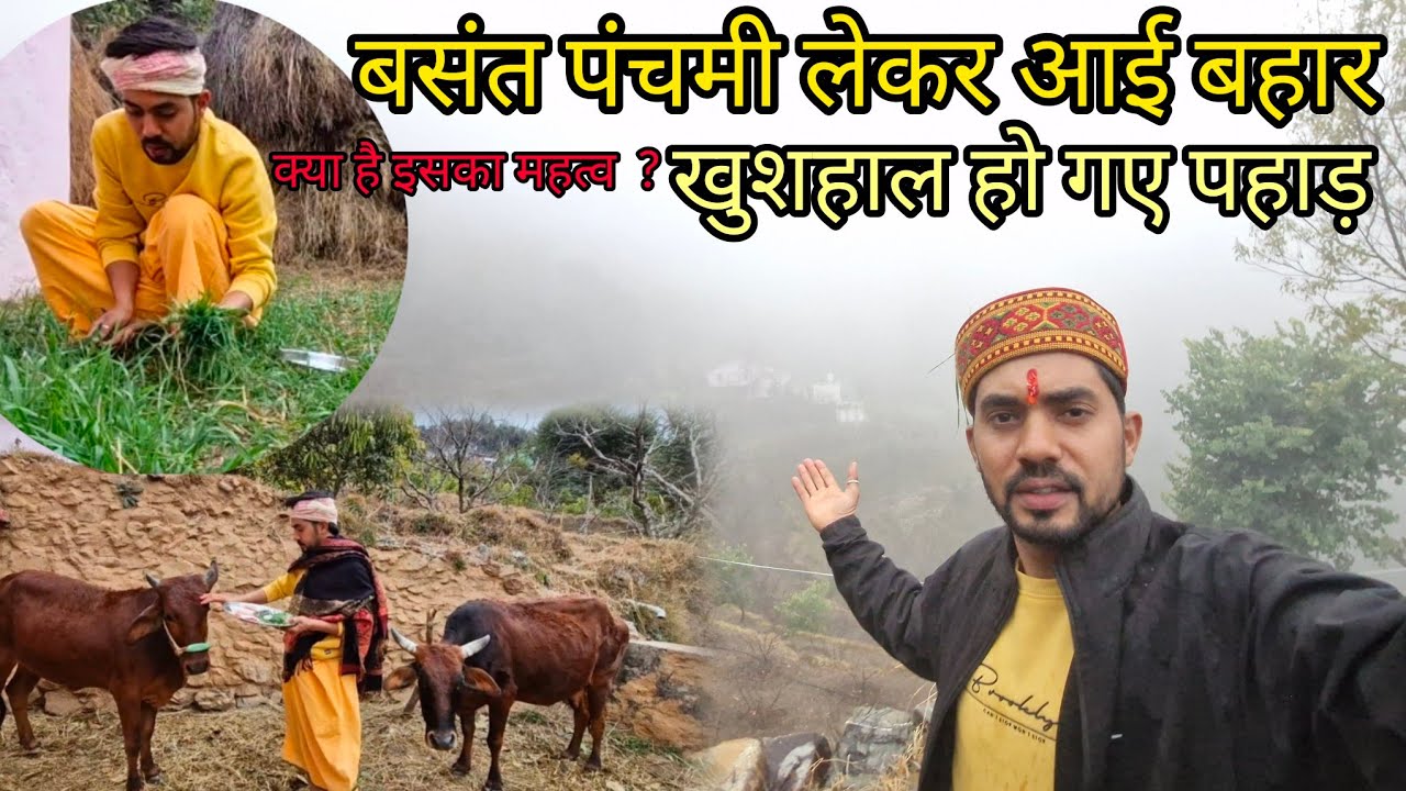 2026 की पहली बारिश भी हो गई । क्यों मनाते है बसंत पंचमी ? @pushkar_karayat 