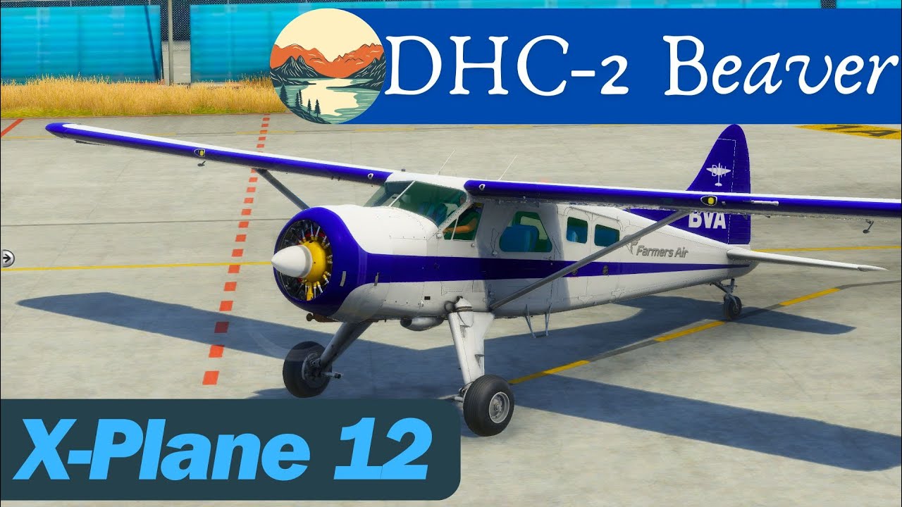 DHC-2 Beaver - DGS-Serie XP12