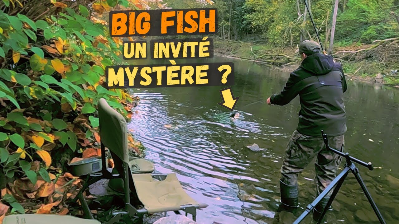 Jamais pris pareil Big Fish sur l'Ourthe ! | Pêche du Barbeau