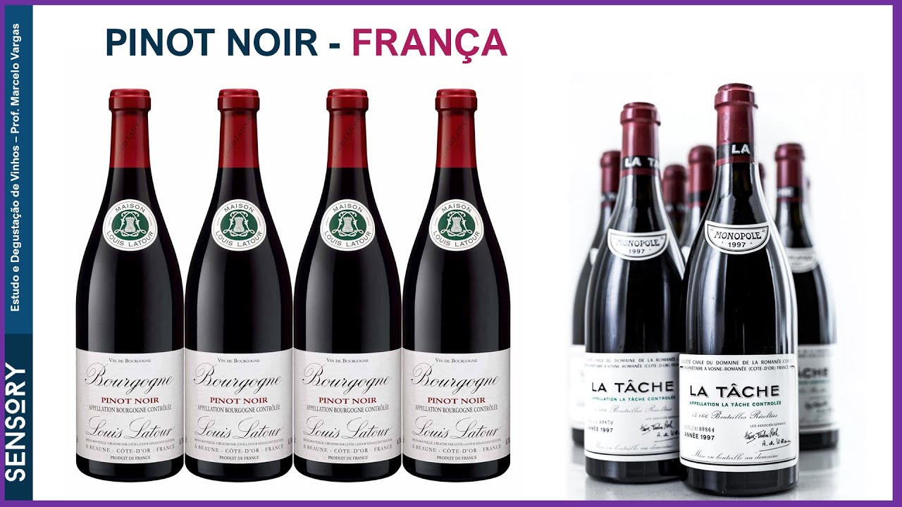 UVA E VINHO PINOT NOIR NA FRAN&Ccedil;A - PROF. MARCELO VARGAS - TRECHOS DE AULAS