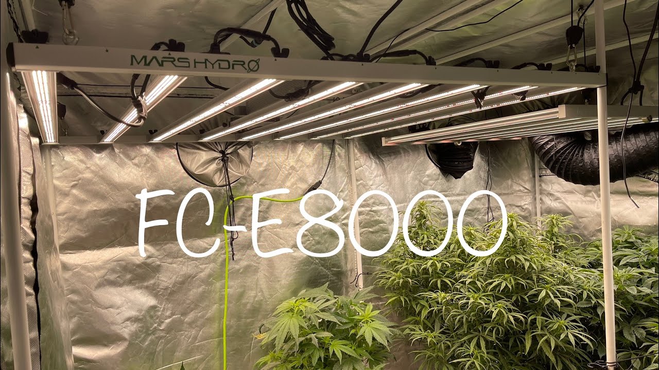 Mars Hydro FC-E8000 🔥 Unboxing 📦 Setting up 🛠 Adjustable Light bars 3928pcs Diodes Full Spectrum