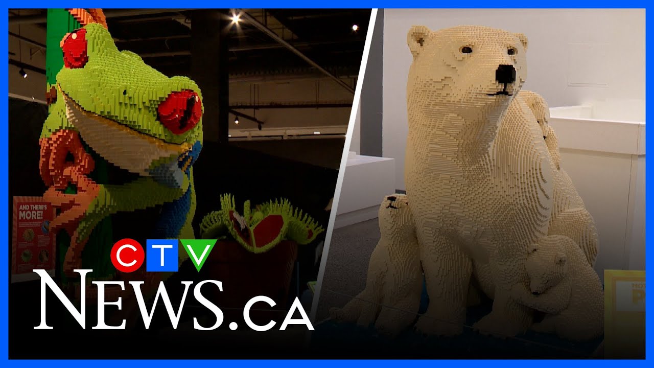 1M Lego pieces make wild exhibit