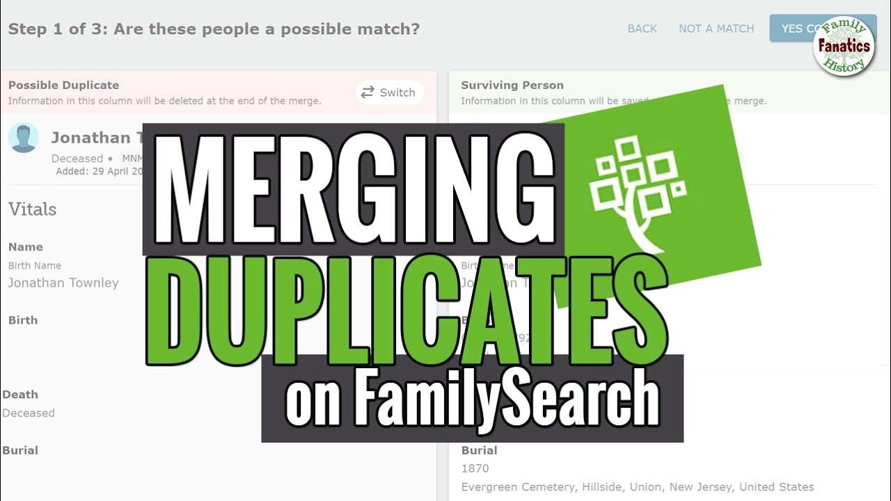 Легко объединяйте дубликаты в генеалогическом древе FamilySearch