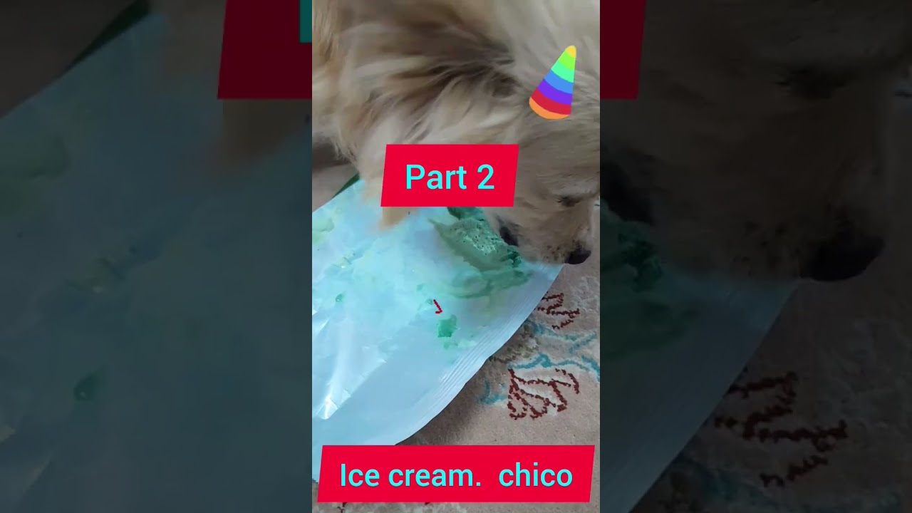 Chico ice cream part two