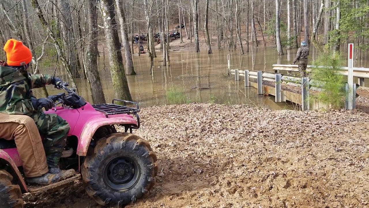 Muddy Bottoms 2020