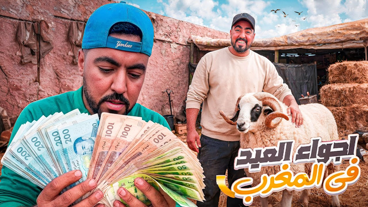 تحضيرات عيد الأضحى 2026 | جولة وسط الحولي ونصائح مهمة قبل شراء الأضحية 🐑