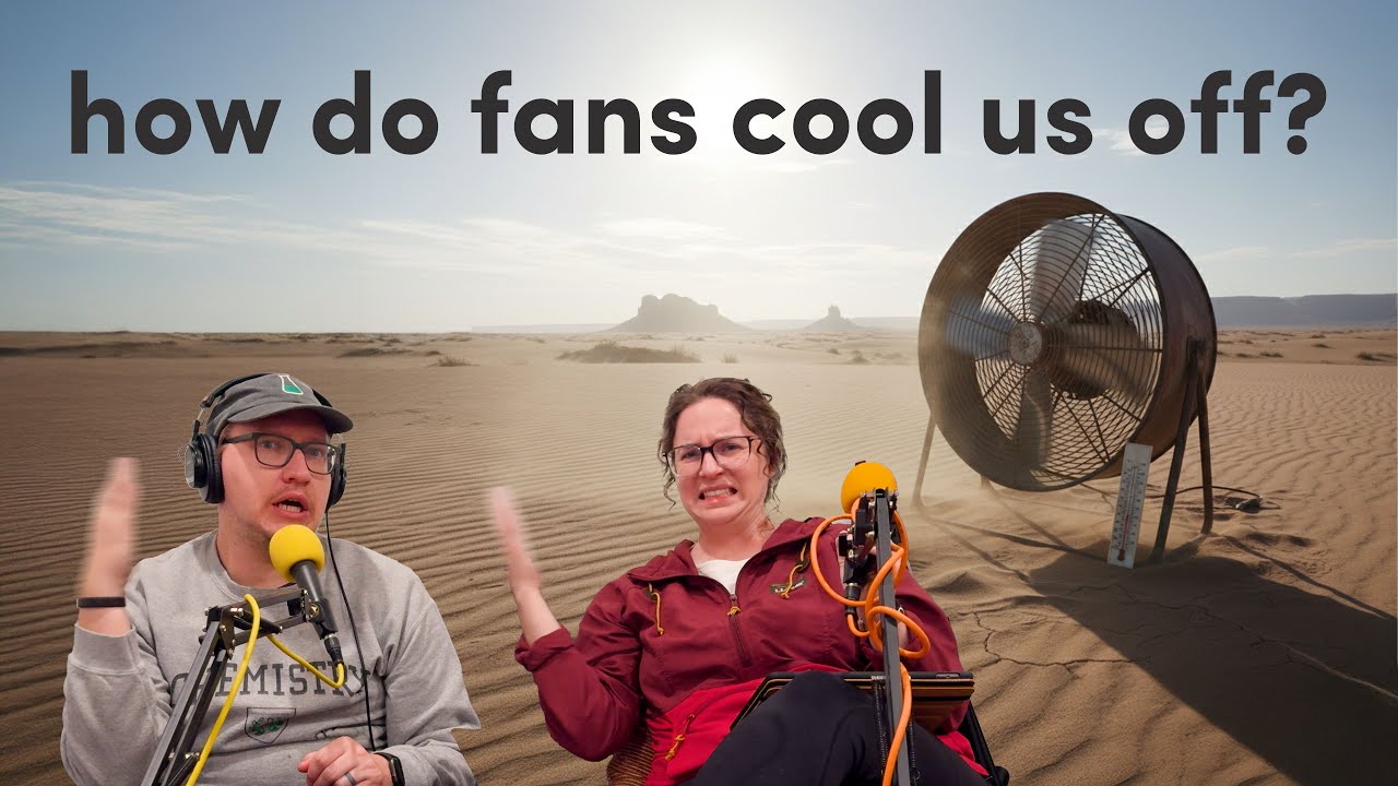 How do fans cool us off?