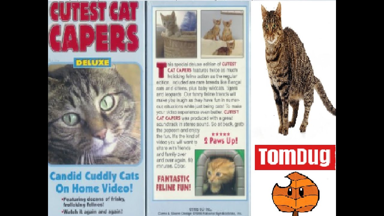 Cutest Cat Capers Deluxe