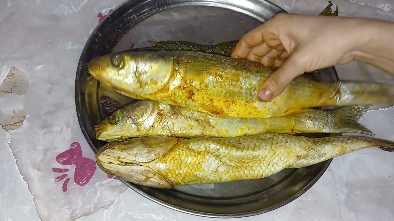 الفسيخ طلع ناشف و و ممرر و حادق 🫨ايه الحل لكل ده